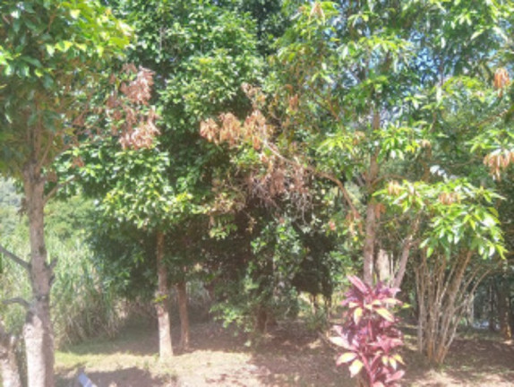 Imagem Imóvel com 2 Quartos à Venda, 9.000 m² em Condomínio Rural Clube Campestre De Caeté Juca Vieira - Caeté Imagem Imóvel com 2 Quartos à Venda, 9.000 m² em Condomínio Rural Clube Campestre De Caeté Juca Vieira - Caeté