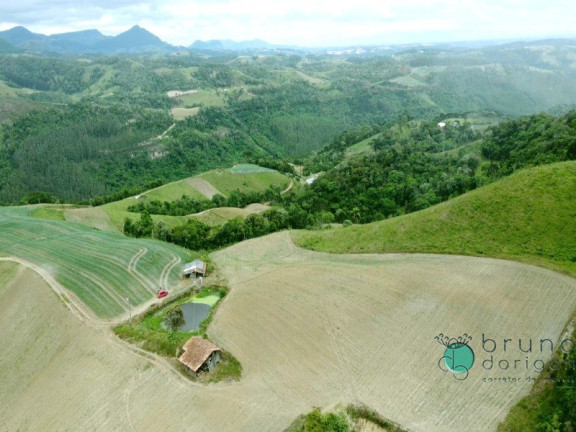 Imagem Imóvel com 2 Quartos à Venda, 425.000 m² em Zona Rural - Alfredo Wagner