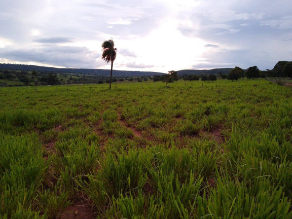 Imagem Fazenda à Venda, 23 m² em Centro - Santa Vitória Imagem Fazenda à Venda, 23 m² em Centro - Santa Vitória