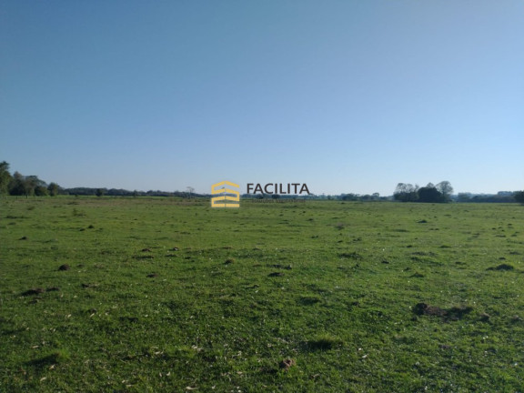 Imóvel com 3 Quartos à Venda, 4.090.000 m² em Centro - Cristal