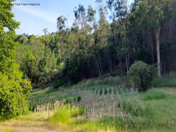 Terreno à Venda,  em Bavaria - Nova Petrópolis