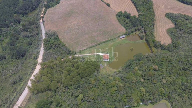 Imagem Chácara à Venda, 15.000 m² em Jardim Florestal - Campo Largo Imagem Chácara à Venda, 15.000 m² em Jardim Florestal - Campo Largo