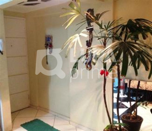 Imagem Apartamento com 2 Quartos à Venda, 52 m² em Vila Mazzei - São Paulo Imagem Apartamento com 2 Quartos à Venda, 52 m² em Vila Mazzei - São Paulo