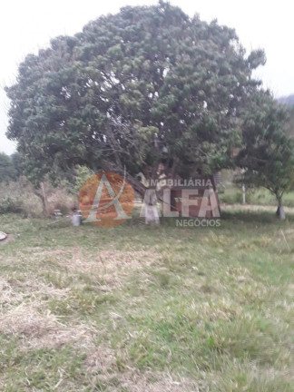 Imagem Imóvel com 2 Quartos à Venda, 1.500 m² em Caete (mailasqui) - São Roque Imagem Imóvel com 2 Quartos à Venda, 1.500 m² em Caete (mailasqui) - São Roque