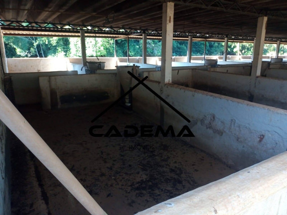 Imagem Chácara com 8 Quartos à Venda, 30 m² em Zona Rural - Monte Sião Imagem Chácara com 8 Quartos à Venda, 30 m² em Zona Rural - Monte Sião