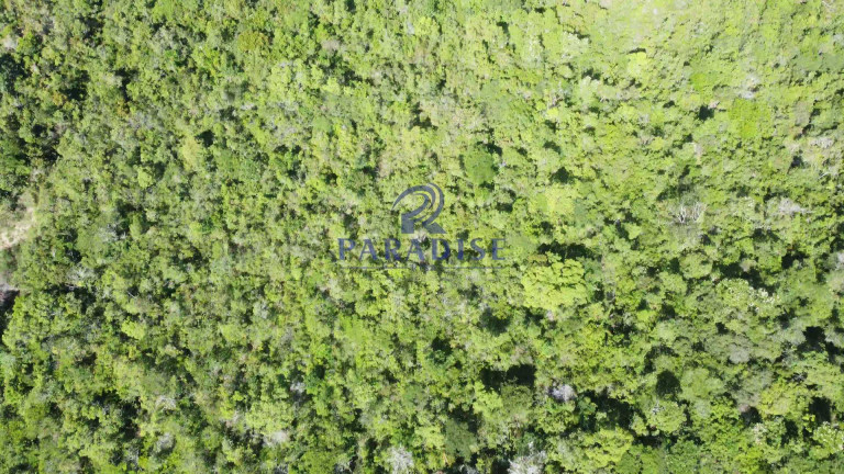 Imagem Fazenda à Venda, 592.700 m² em Monte Gordo (monte Gordo) - Camaçari
