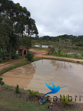 Imagem Chácara com 2 Quartos à Venda, 5.300 m² em Rio Da Várzea - Agudos Do Sul