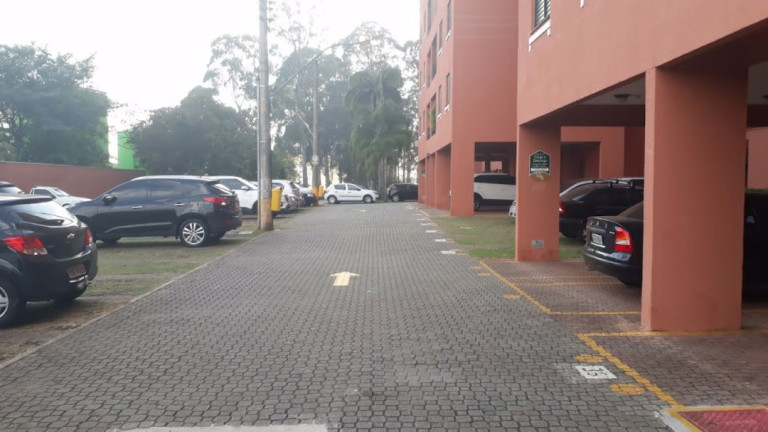 Imagem Apartamento com 3 Quartos à Venda, 59 m² em Vila Do Castelo - São Paulo Imagem Apartamento com 3 Quartos à Venda, 59 m² em Vila Do Castelo - São Paulo