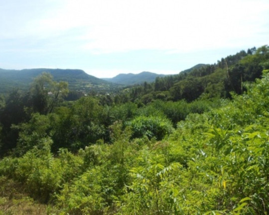 Imagem Terreno à Venda, 7 m² em Lichthenthal - Picada Café
