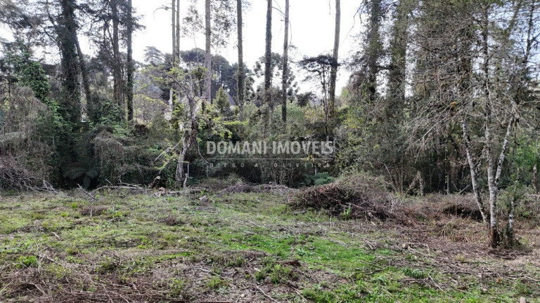 Imagem Terreno à Venda, 1.200 m² em Região De Capivari - Campos Do Jordão Imagem Terreno à Venda, 1.200 m² em Região De Capivari - Campos Do Jordão