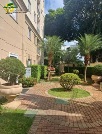 Imagem Apartamento com 2 Quartos para Alugar, 50 m² em Lauzane Paulista - São Paulo