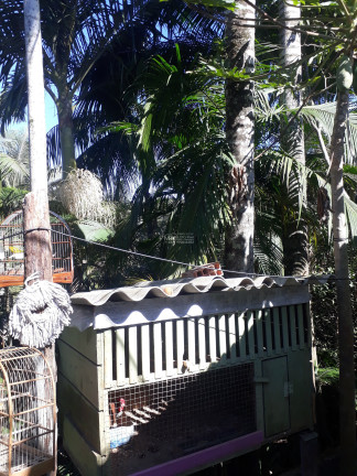 Imagem Imóvel com 3 Quartos à Venda, em Centro - São João Batista Imagem Imóvel com 3 Quartos à Venda, em Centro - São João Batista