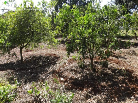 Imagem Imóvel com 2 Quartos à Venda, 135 m² em Centro - Araçoiaba Da Serra Imagem Imóvel com 2 Quartos à Venda, 135 m² em Centro - Araçoiaba Da Serra