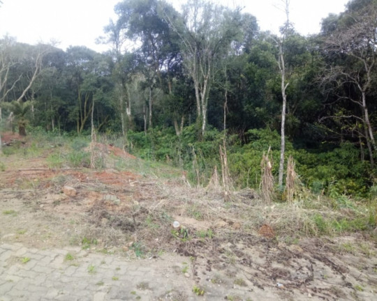 Imagem Imóvel à Venda, 2.024 m² em Vila Germânia - Nova Petrópolis