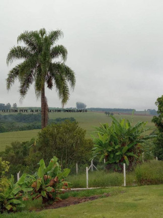 Imagem Chácara com 3 Quartos à Venda, 4 m² em Jardim Cananeia - Pilar Do Sul