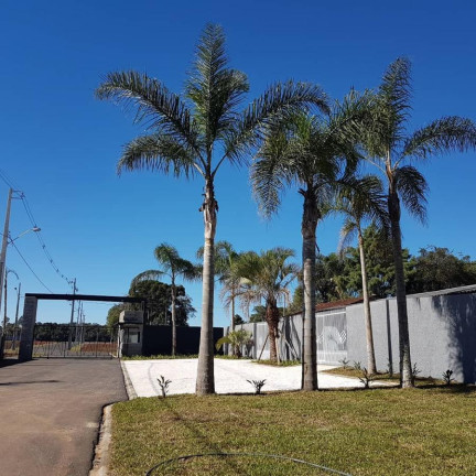 Imagem Casa com 2 Quartos à Venda, 81 m² em Campo Largo Da Roseira - São José Dos Pinhais