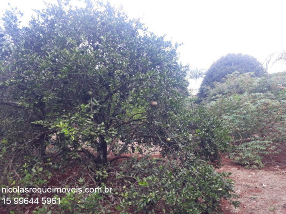 Imagem Imóvel com 4 Quartos à Venda, 3.000 m² em Vitassay - Fazenda Castelo - Boituva Imagem Imóvel com 4 Quartos à Venda, 3.000 m² em Vitassay - Fazenda Castelo - Boituva