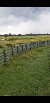 Imagem Fazenda à Venda, 8 m² em Poconé Imagem Fazenda à Venda, 8 m² em Poconé