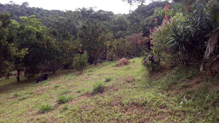 Imagem Fazenda à Venda, 80 m² em Taboão - Mogi Das Cruzes