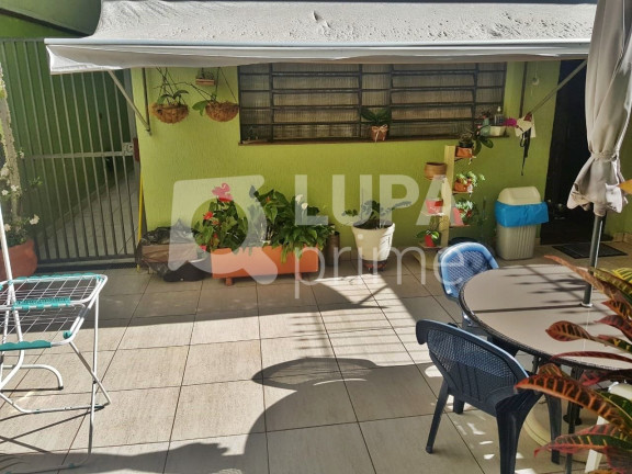 Imagem Casa com 3 Quartos à Venda, 258 m² em Vila Guilherme - São Paulo Imagem Casa com 3 Quartos à Venda, 258 m² em Vila Guilherme - São Paulo