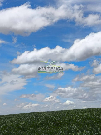 Fazenda à Venda, 580 m² em Campina Verde
