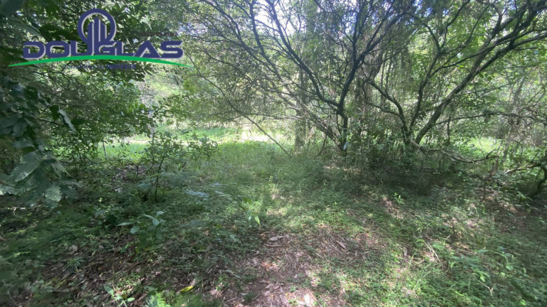 Imagem Terreno à Venda, 5.000 m² em Viamão Imagem Terreno à Venda, 5.000 m² em Viamão