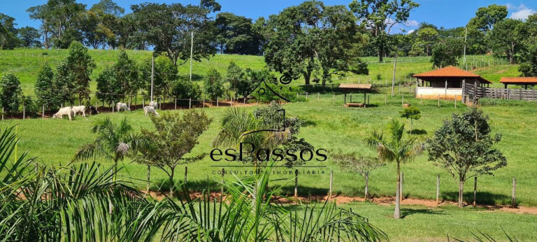 Imagem Fazenda à Venda, 110.000 m² em Cachoeira De Almas - Florestal Imagem Fazenda à Venda, 110.000 m² em Cachoeira De Almas - Florestal