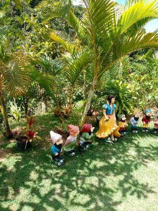 Imagem Imóvel com 2 Quartos à Venda, 700 m² em Alto Bom Jesus - Marechal Floriano Imagem Imóvel com 2 Quartos à Venda, 700 m² em Alto Bom Jesus - Marechal Floriano
