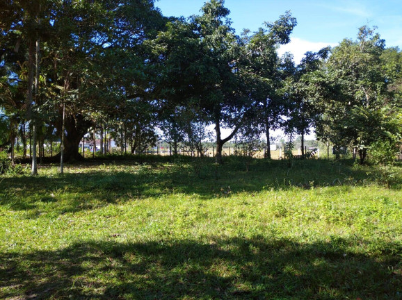 Imagem Terreno à Venda, 39 m² em Volta Redonda - Araquari Imagem Terreno à Venda, 39 m² em Volta Redonda - Araquari