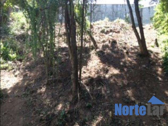 Imagem Terreno à Venda, 312 m² em Jardim Virginia Bianca - São Paulo