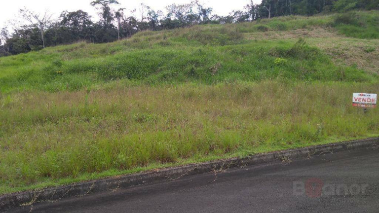 Imagem Terreno à Venda, 390 m² em Itoupava Central - Blumenau Imagem Terreno à Venda, 390 m² em Itoupava Central - Blumenau