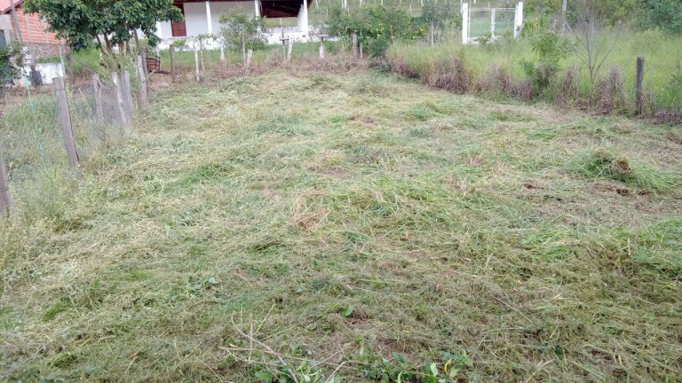 Imagem Terreno à Venda, 270 m² em Cercadinho - Alambari Imagem Terreno à Venda, 270 m² em Cercadinho - Alambari