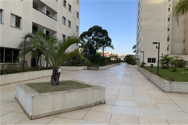 Imagem Apartamento com 3 Quartos à Venda, 73 m² em Freguesia Do ó - São Paulo Imagem Apartamento com 3 Quartos à Venda, 73 m² em Freguesia Do ó - São Paulo