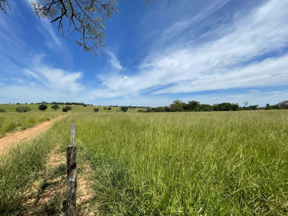 Imagem Fazenda à Venda, 1.530 m² em Zona Rural - Caldas Novas Imagem Fazenda à Venda, 1.530 m² em Zona Rural - Caldas Novas