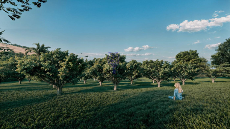 Imagem Terreno à Venda, 143 m² em Martírio - Amparo Imagem Terreno à Venda, 143 m² em Martírio - Amparo