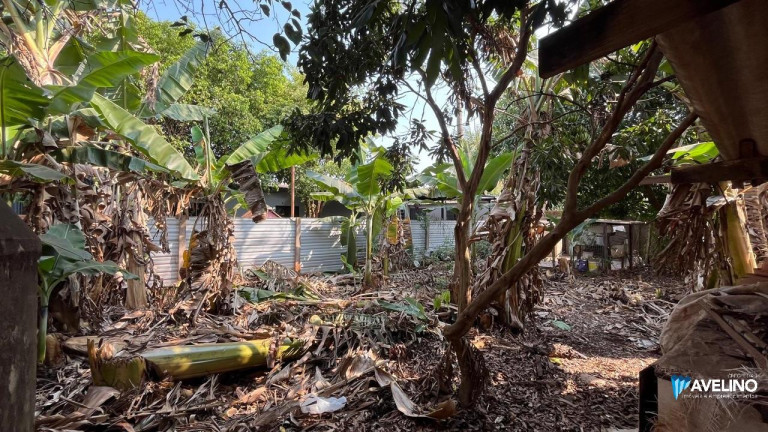Imagem Imóvel com 1 Quarto à Venda, 5.750 m² em Conjunto Habitacional Izidro Pedroso - Dourados