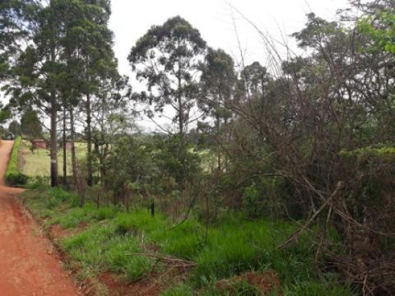 Imagem Terreno à Venda, 5.643 m² em Paruru - Ibiúna Imagem Terreno à Venda, 5.643 m² em Paruru - Ibiúna
