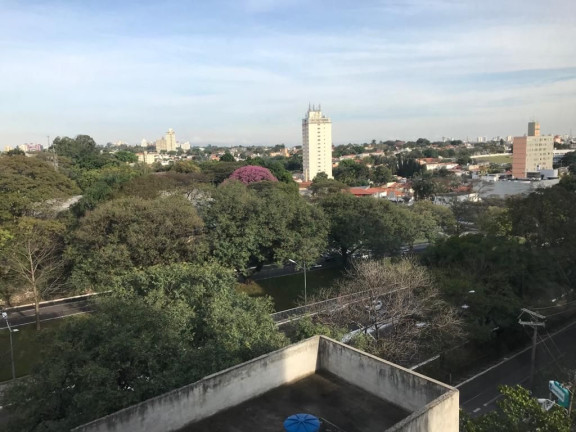 Imagem Imóvel com 3 Quartos à Venda, 127 m² em Moema - São Paulo Imagem Imóvel com 3 Quartos à Venda, 127 m² em Moema - São Paulo