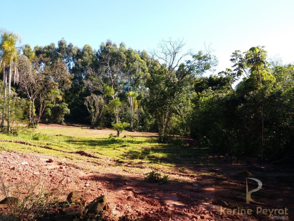 Imagem Terreno à Venda, 3.000 m² em Fazenda São Borja - São Leopoldo Imagem Terreno à Venda, 3.000 m² em Fazenda São Borja - São Leopoldo