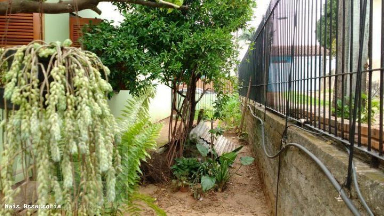 Imagem Casa com 3 Quartos à Venda, 144 m² em Canudos - Novo Hamburgo