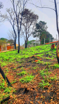 Imagem Imóvel à Venda, 700 m² em Jardim Estância Brasil - Atibaia Imagem Imóvel à Venda, 700 m² em Jardim Estância Brasil - Atibaia