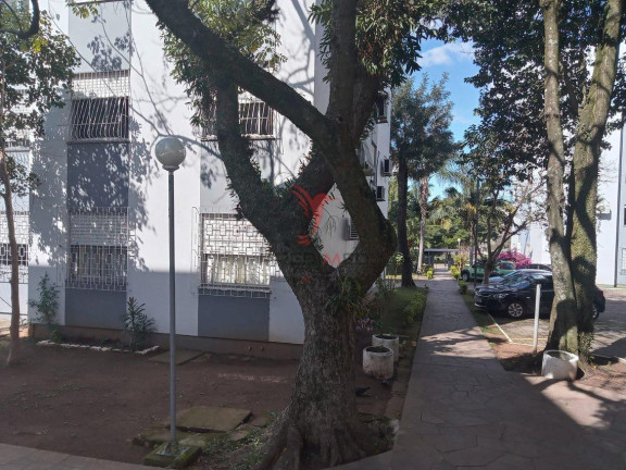 Imagem Apartamento com 2 Quartos à Venda, 48 m² em Salgado Filho - Gravataí