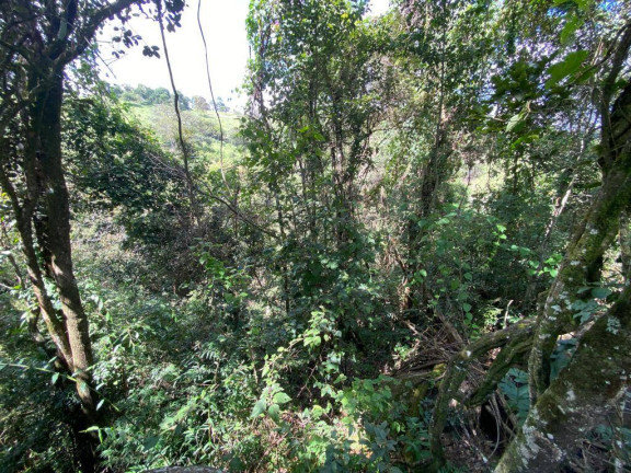 Imagem Terreno à Venda, 3 m² em Santa Terezinha De Minas - Itatiaiuçu