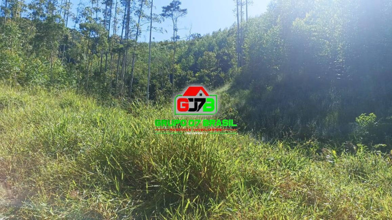 Imagem Chácara à Venda, 10 m² em Zona Rural De Paraibuna - Paraibuna