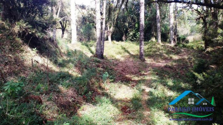 Imagem Chácara à Venda, 89 m² em Centro - Gonçalves Imagem Chácara à Venda, 89 m² em Centro - Gonçalves