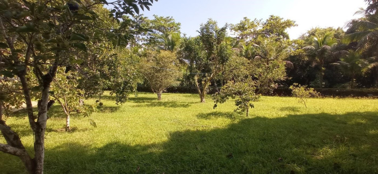 Imagem Terreno à Venda, 400 m² em Praia Da Lagoinha - Ubatuba Imagem Terreno à Venda, 400 m² em Praia Da Lagoinha - Ubatuba