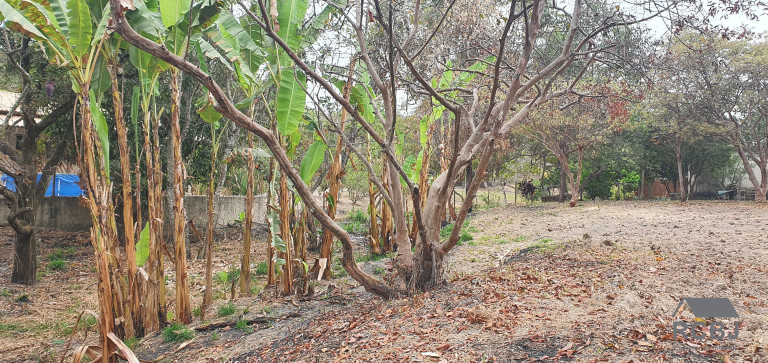 Imagem Terreno à Venda, 1.533 m² em Andiroba - Esmeraldas