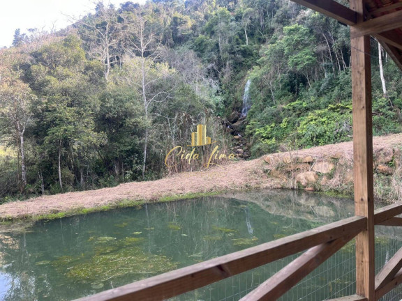 Imagem Chácara com 2 Quartos à Venda, 10.000 m² em Alfredo Wagner