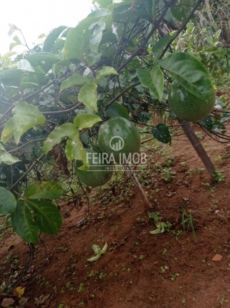 Imagem Fazenda à Venda, em Tiquaruçu - Feira De Santana Imagem Fazenda à Venda, em Tiquaruçu - Feira De Santana