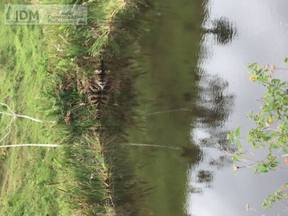 Imagem Chácara à Venda, 3.940.000 m² em Centro - Gandu Imagem Chácara à Venda, 3.940.000 m² em Centro - Gandu